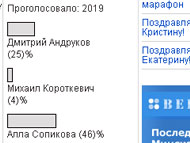 Голосование Сопикова Слоним