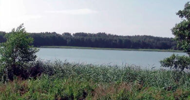 Озерница Гродненской области