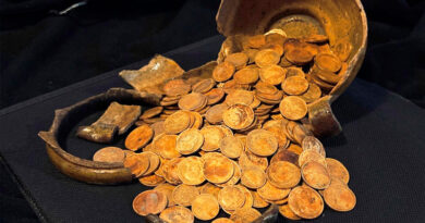 Клад золотых монет