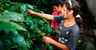 Беларусь соавтор резолюции ООН о Международном дне кофе